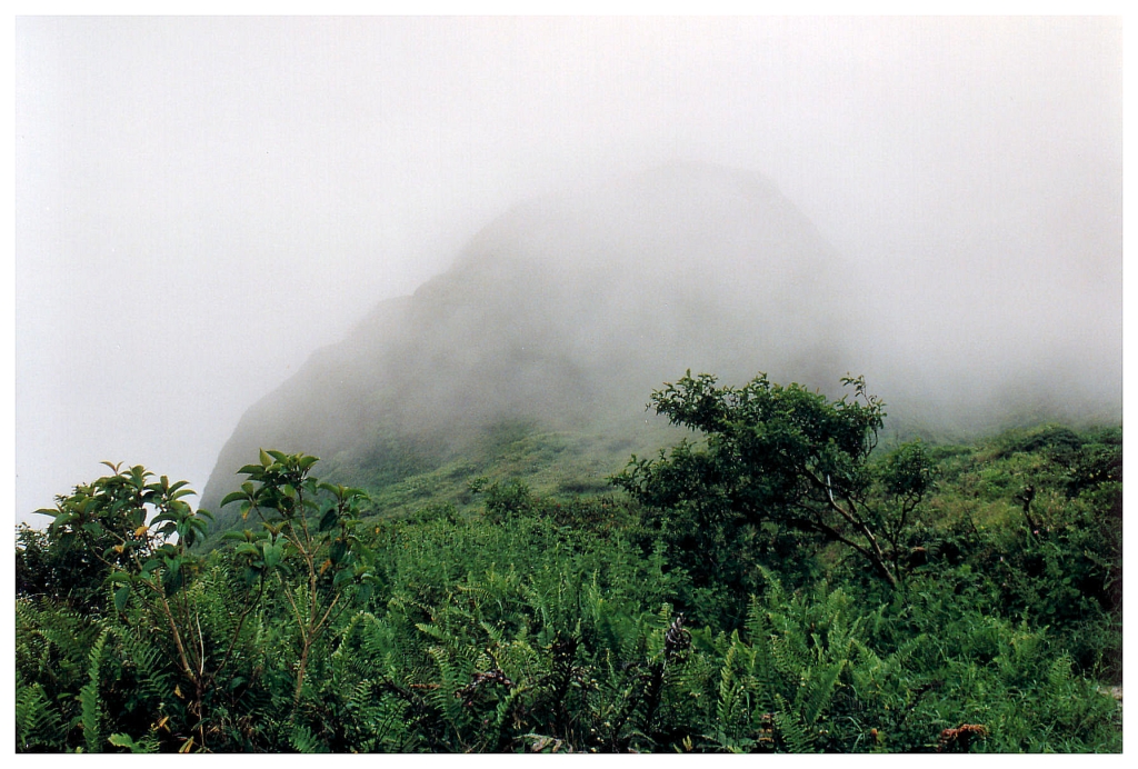 08 - Montagne Pelée (2).jpg